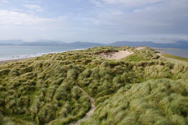 Ireland Coast